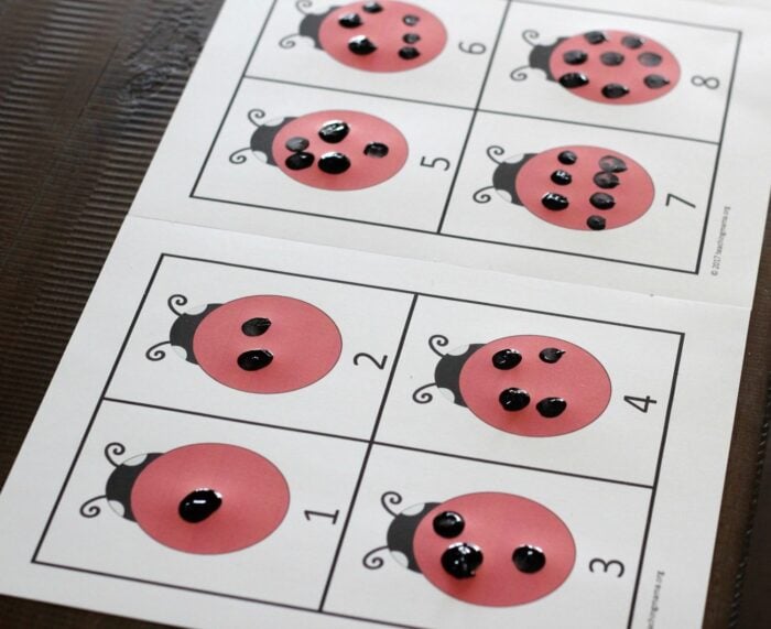 Ladybug Spots Counting Activity