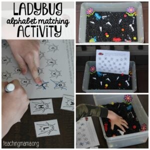 ladybug sensory bin