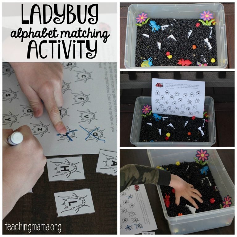 Ladybug Alphabet Matching Game