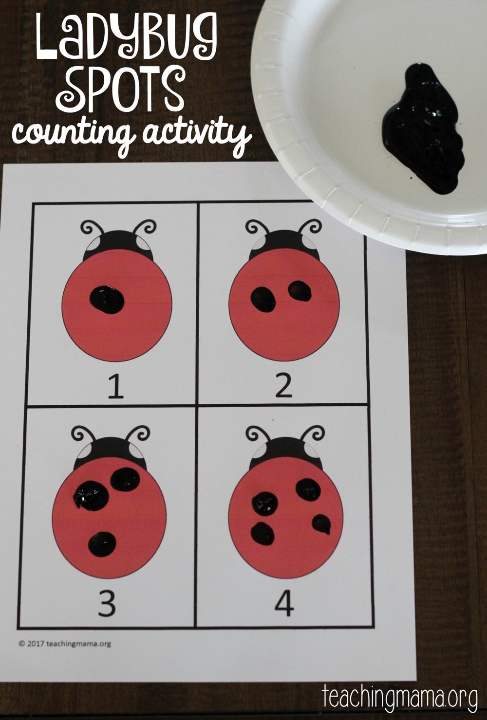 ladybug spots counting activity