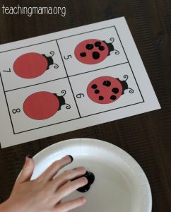 Ladybug Spots Counting Activity