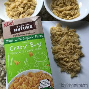 Insect Sensory Bin