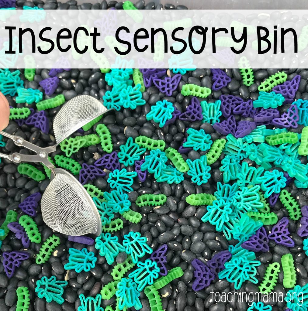 insect sensory bin