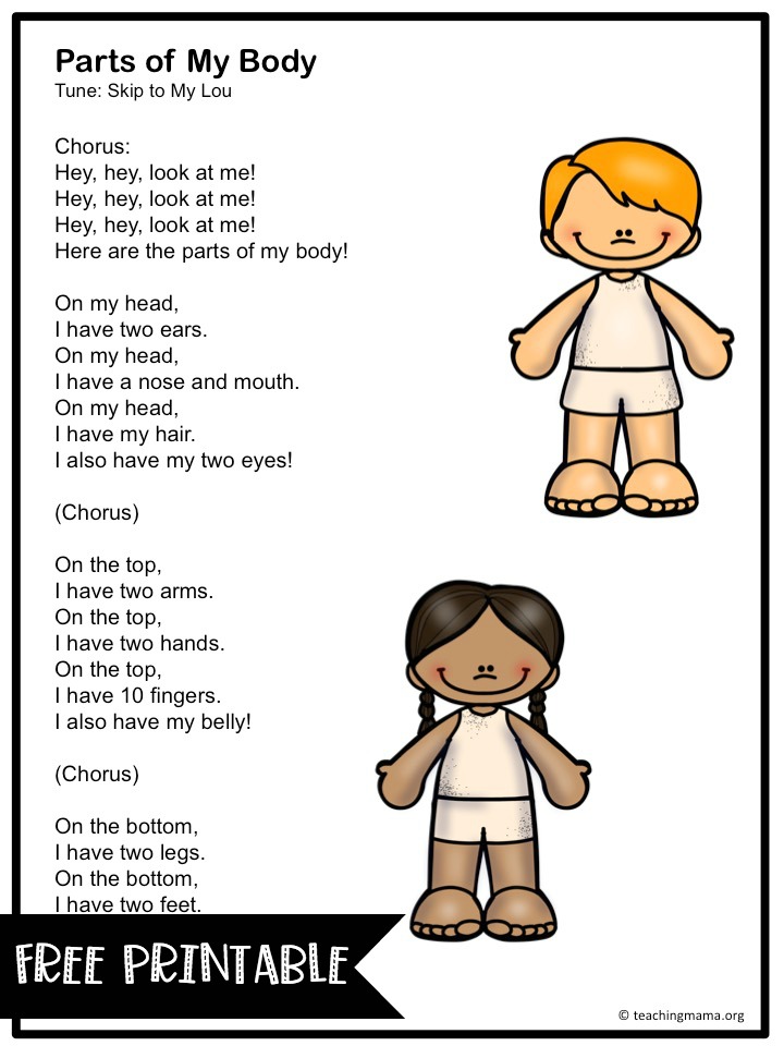 Body Parts Chart For Nursery