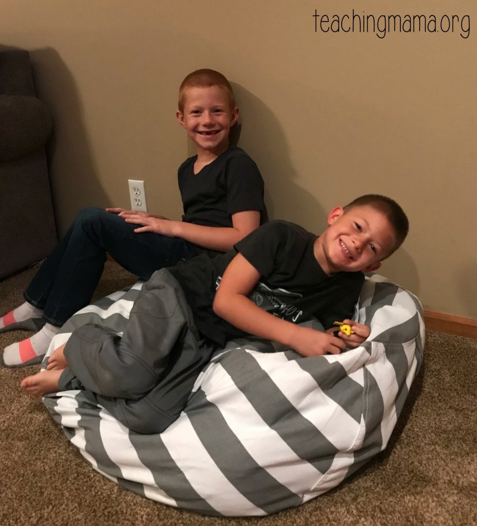 Bean bag to hold best sale stuffed animals