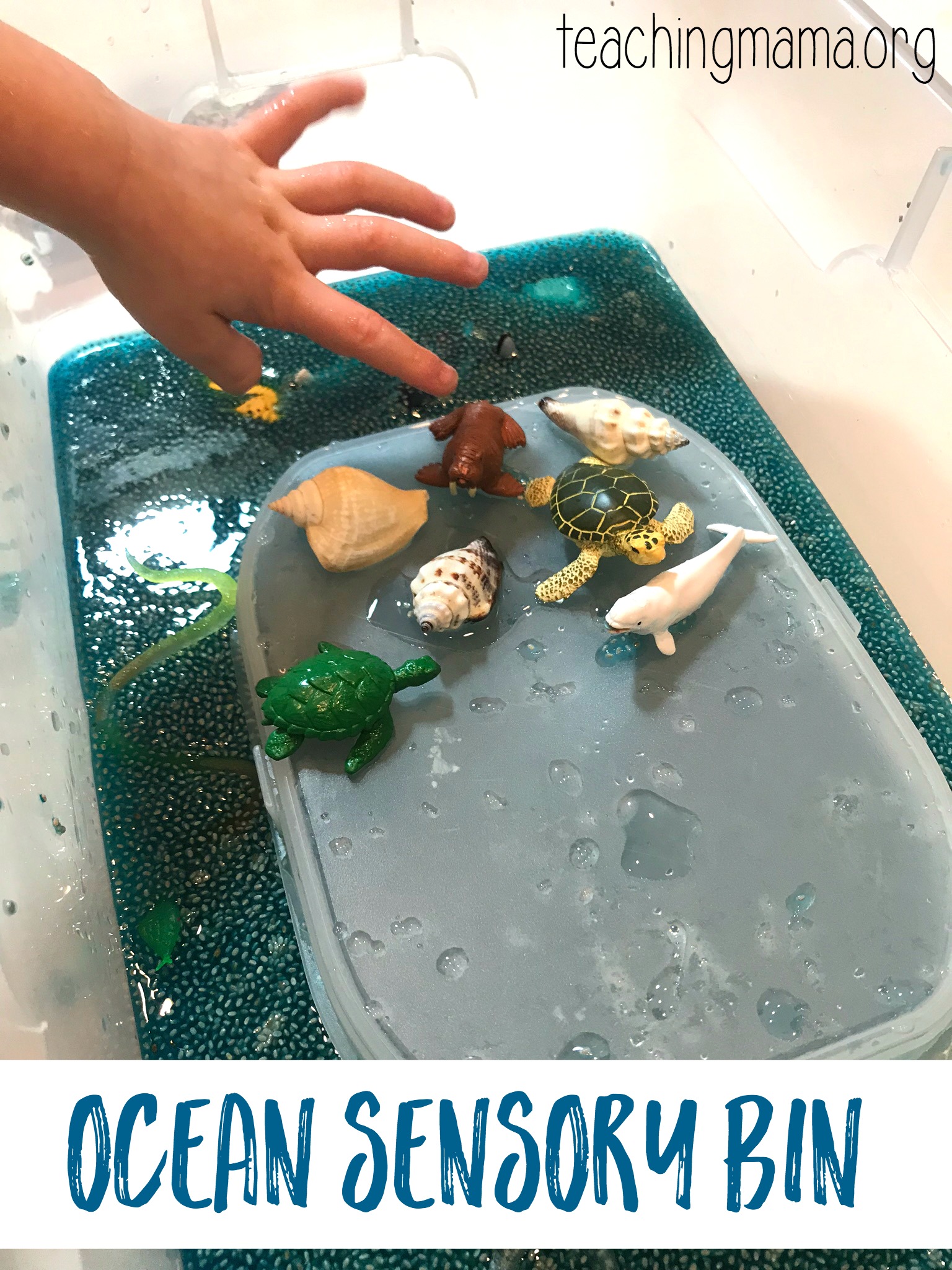 https://teachingmama.org/wp-content/uploads/2018/03/Ocean-Sensory-Bin.jpg