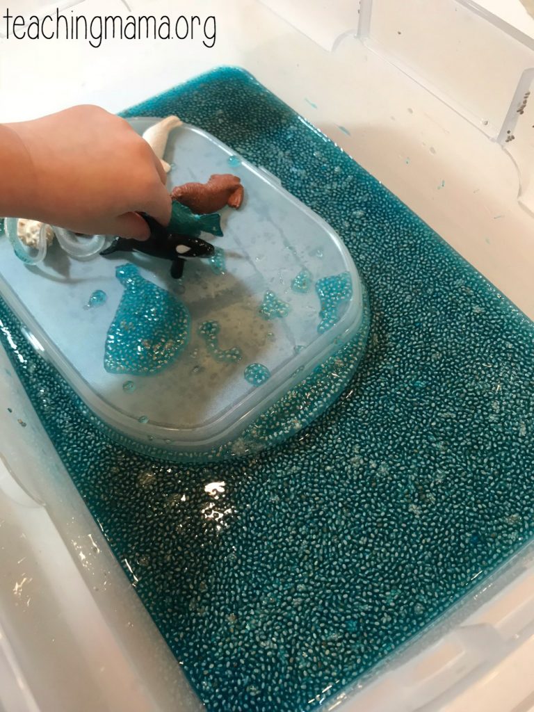 ocean sensory bin