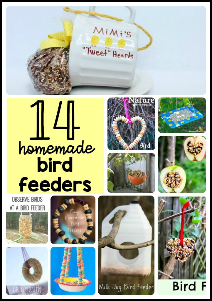 14 homemade bird feeders