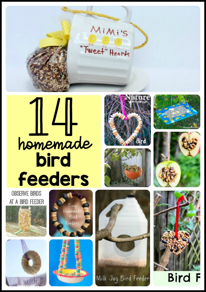 DIY Bird Feeders for Kids