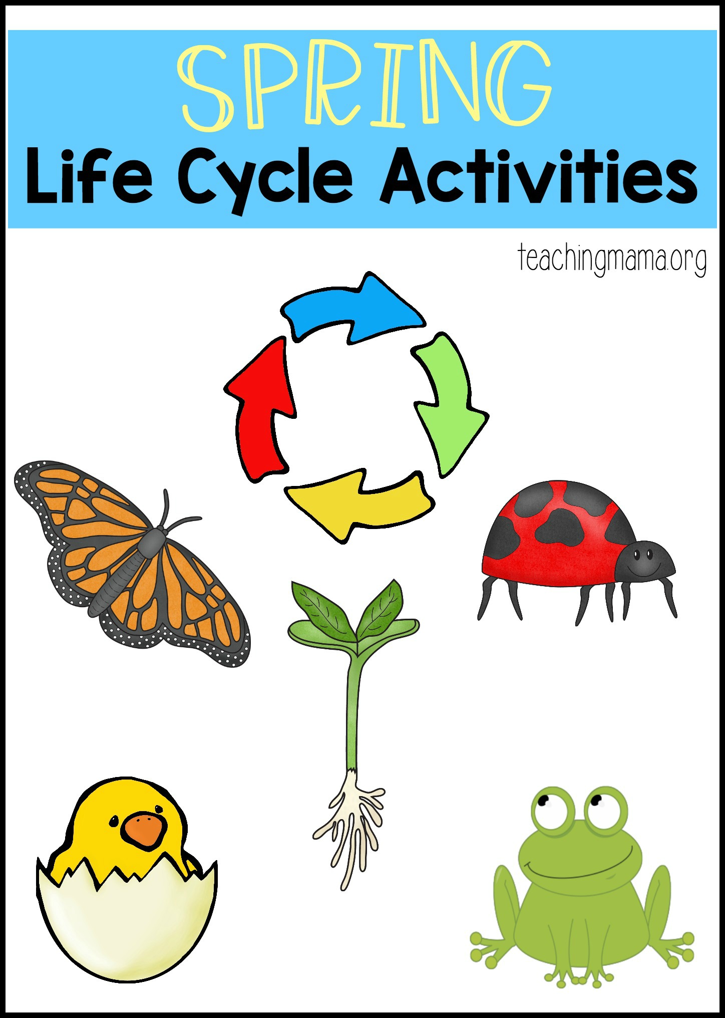 Spring Life Cycle Activities