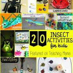 20 Insect Activities for Kids