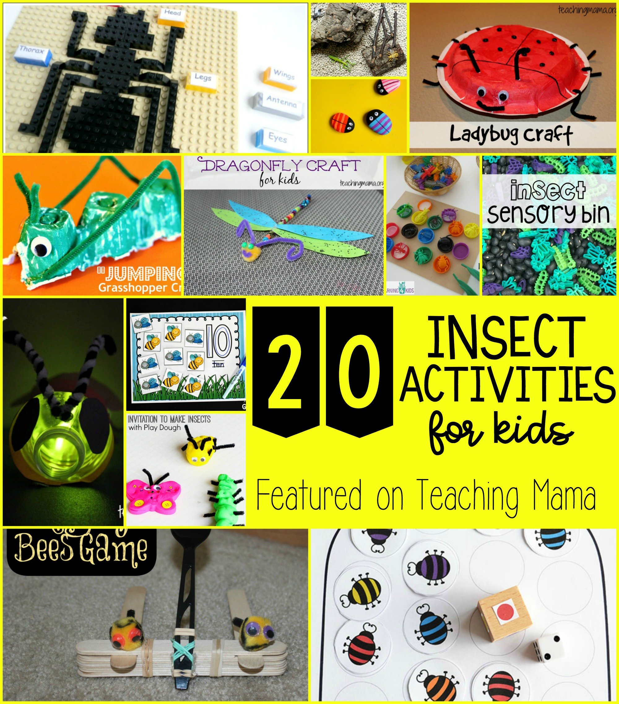 20 Insect Activities For Kids