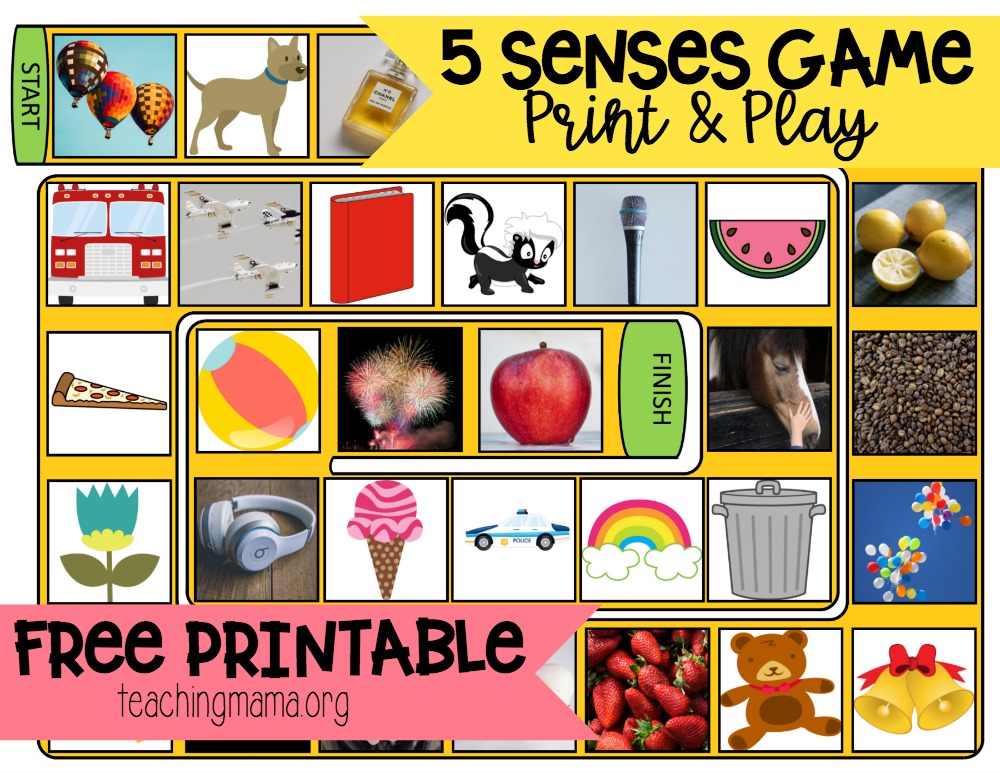 senses print outs