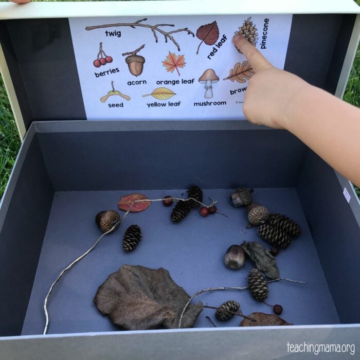 Scavenger Hunt in a Box