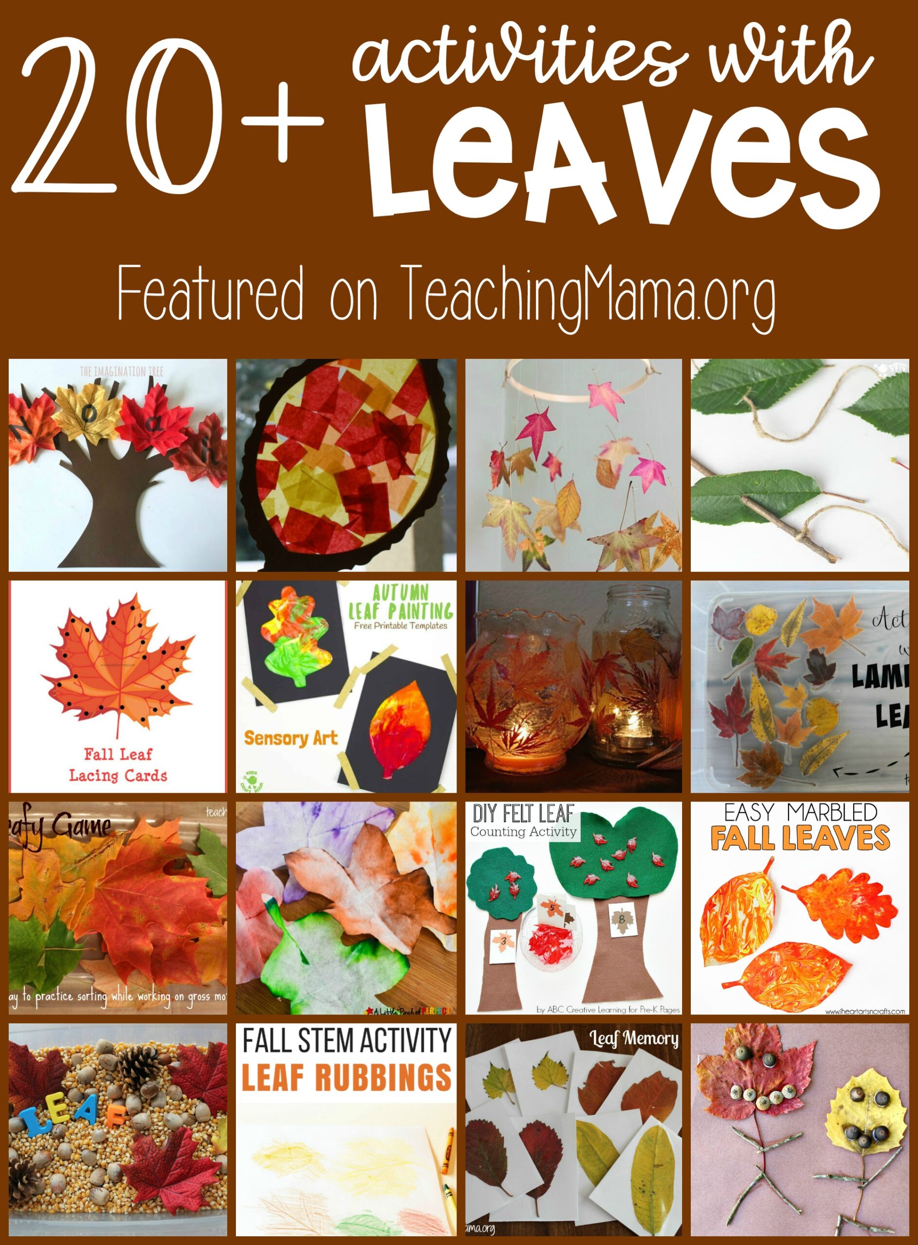 20+ Activities with Leaves - Teaching Mama