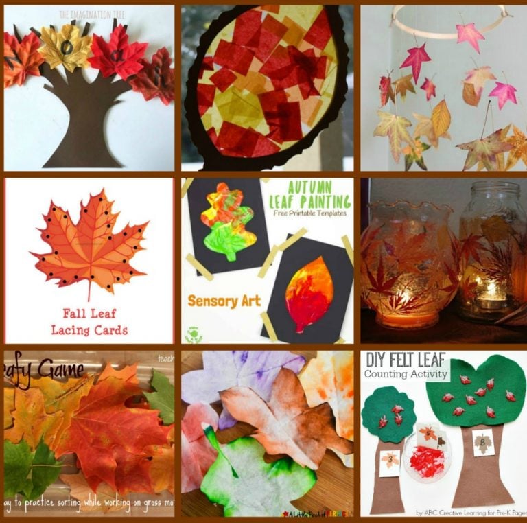 20+ Activities with Leaves