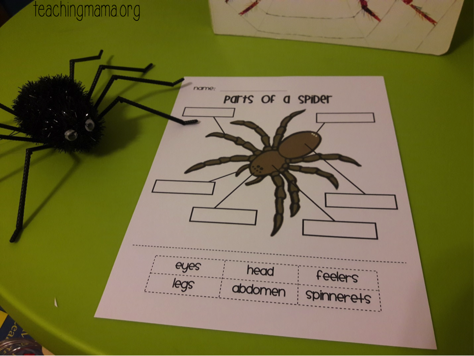 the-very-busy-spider-activities