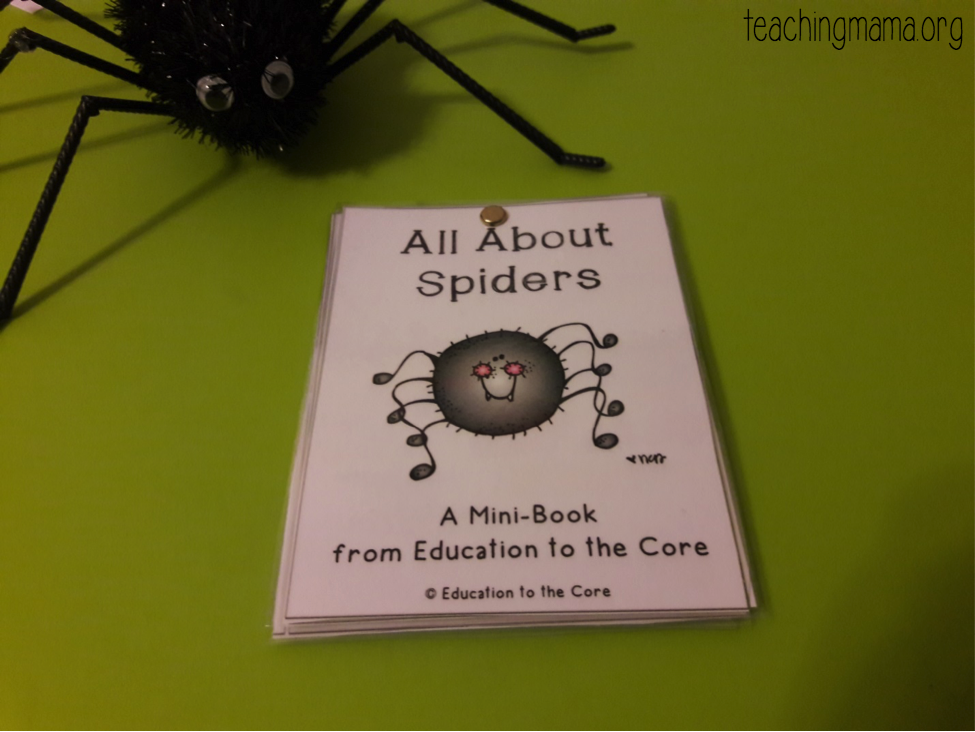 Free Spiders 🕷 Mini-Book! Great - Education to the Core