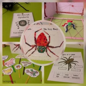 Very Busy Spider book activities