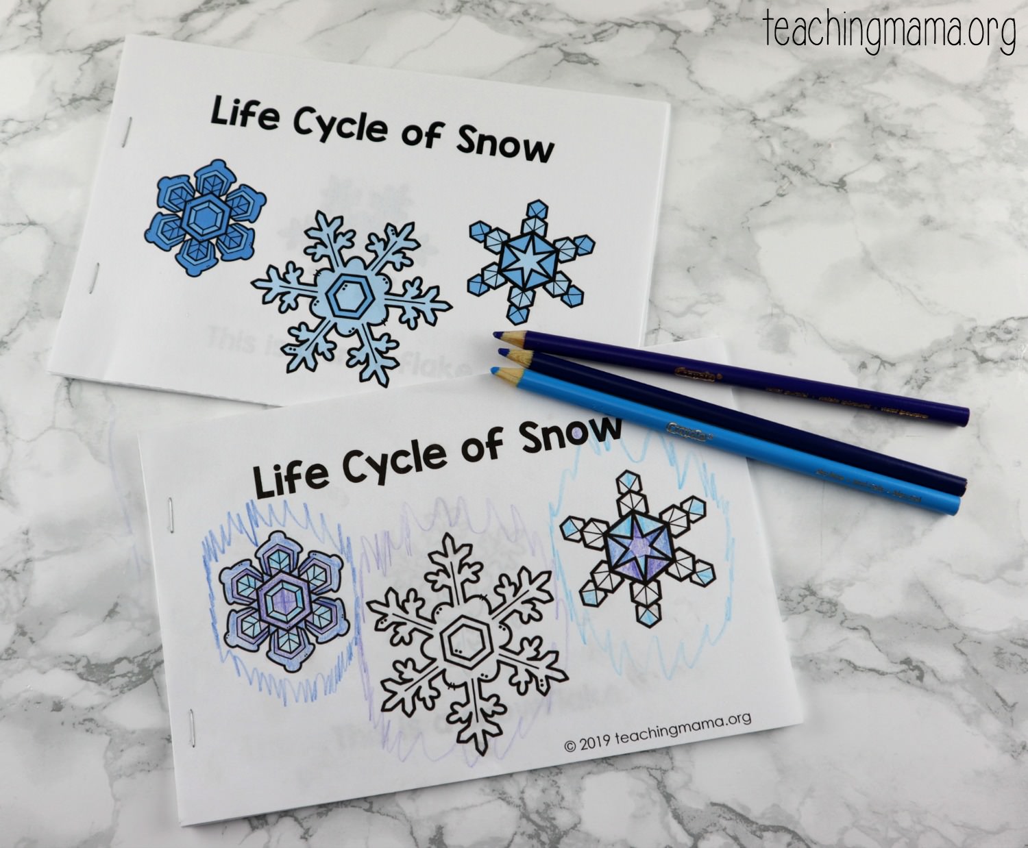 Life Cycle of Snowflakes Booklet