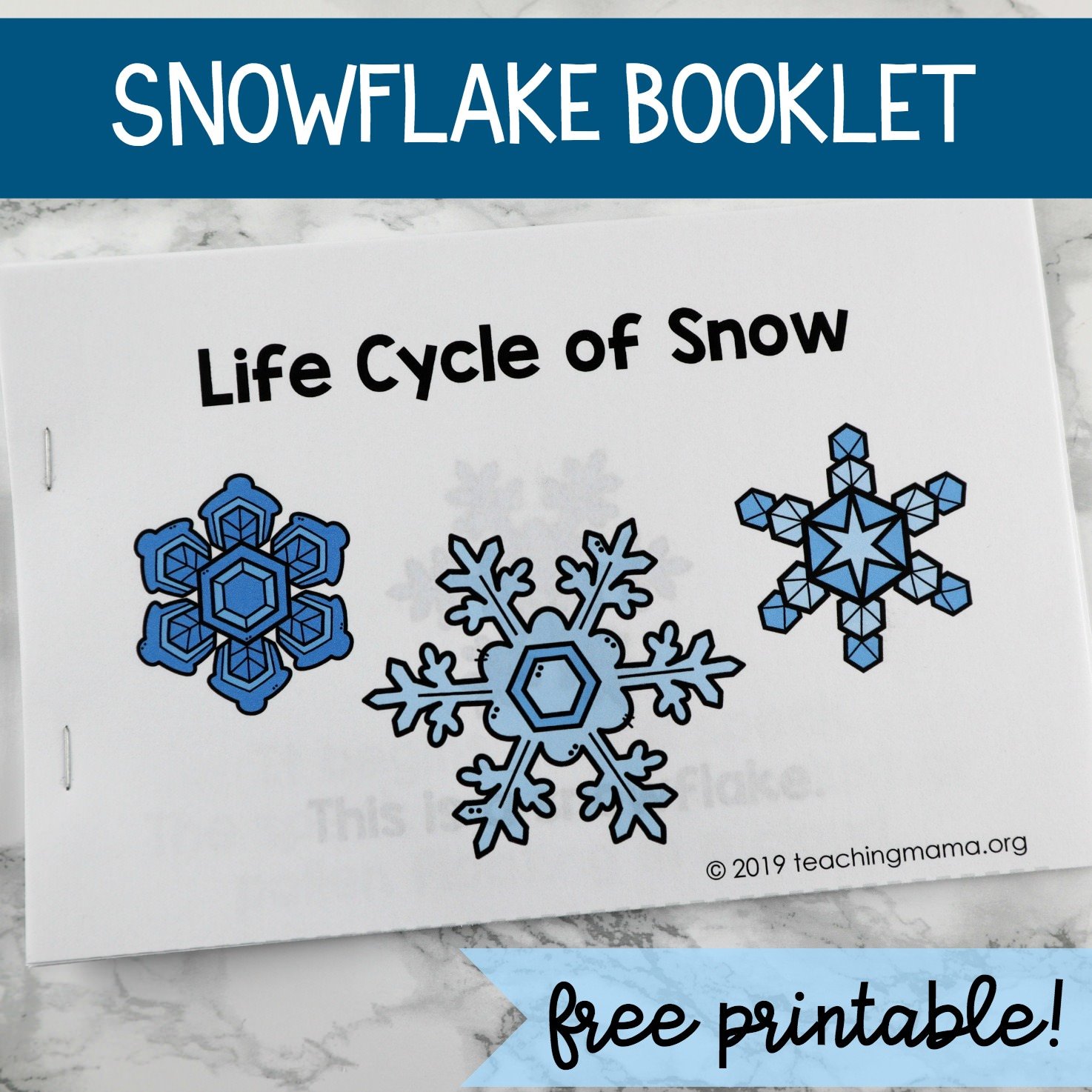 Life Cycle of Snowflakes Booklet