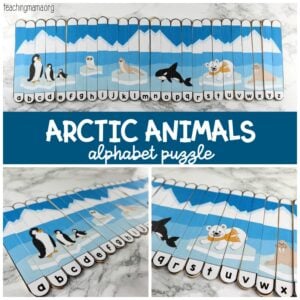 arctic animals alphabet puzzle