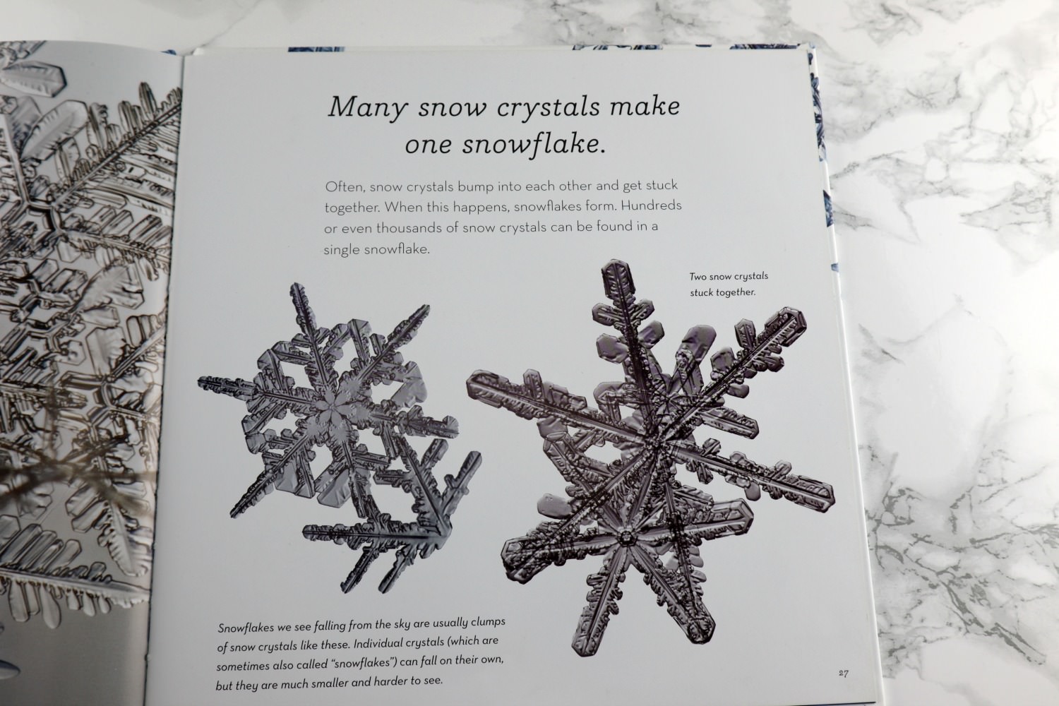 Life Cycle Of Snowflakes Booklet