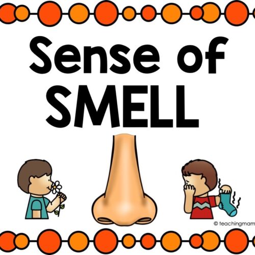 5 Senses Activities - Teaching Mama