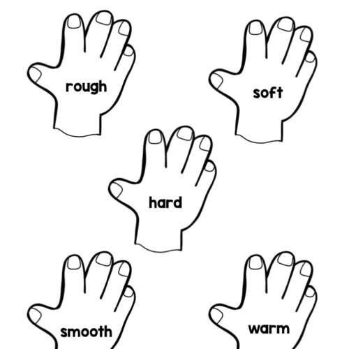 5 Senses Activities - Teaching Mama