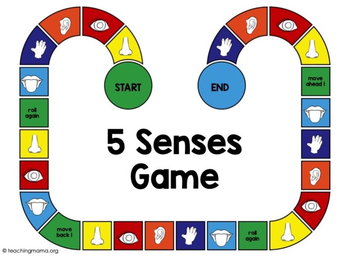 5 senses game
