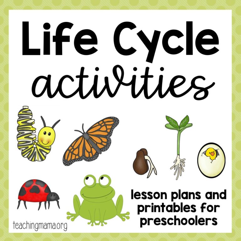 Life Cycle Activities