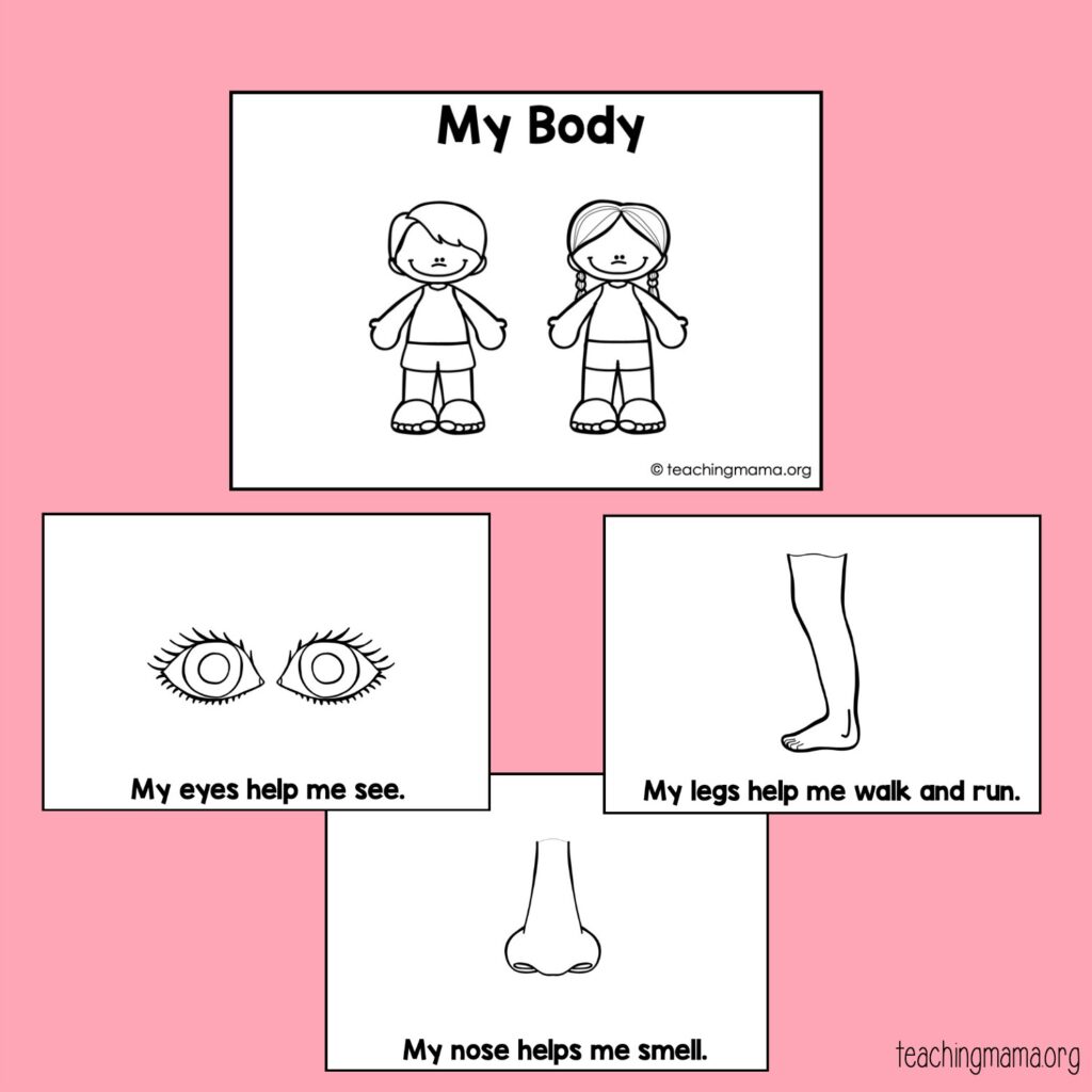 my body booklet