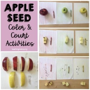 appleseed color & count activities