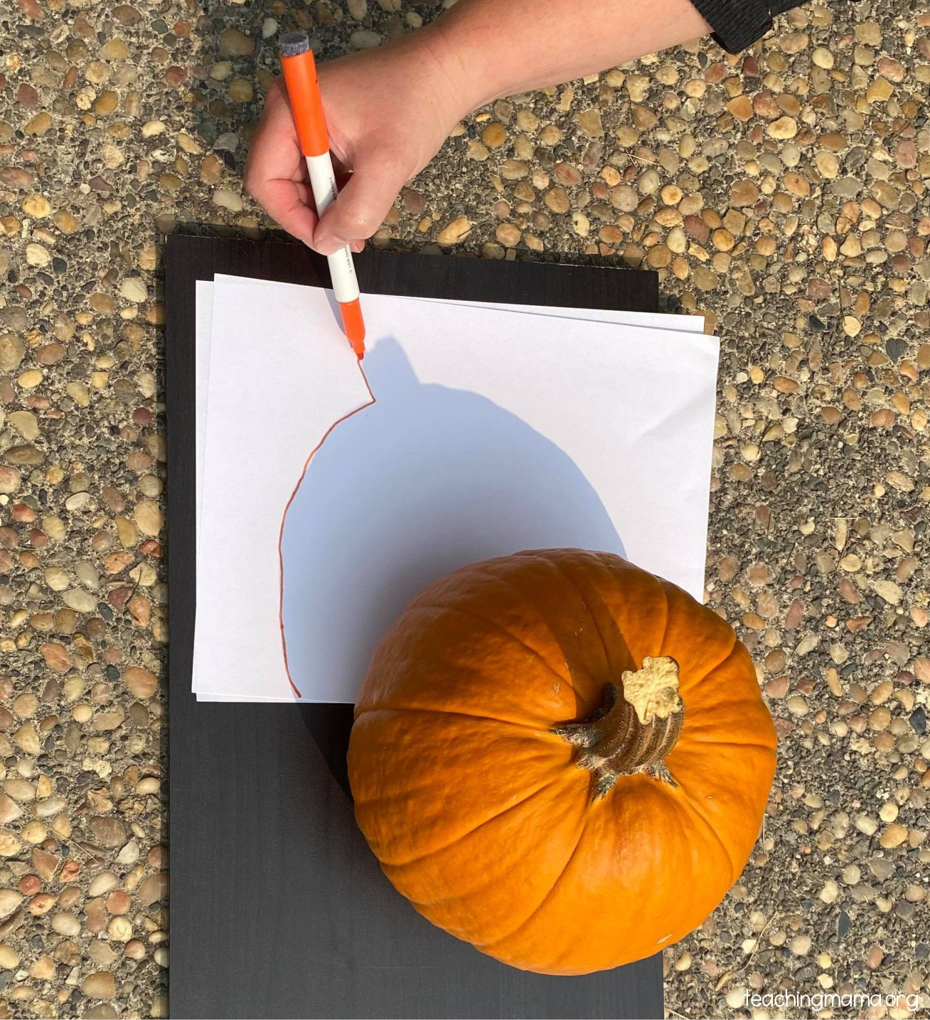 tracing pumpkin shadow preschool activity