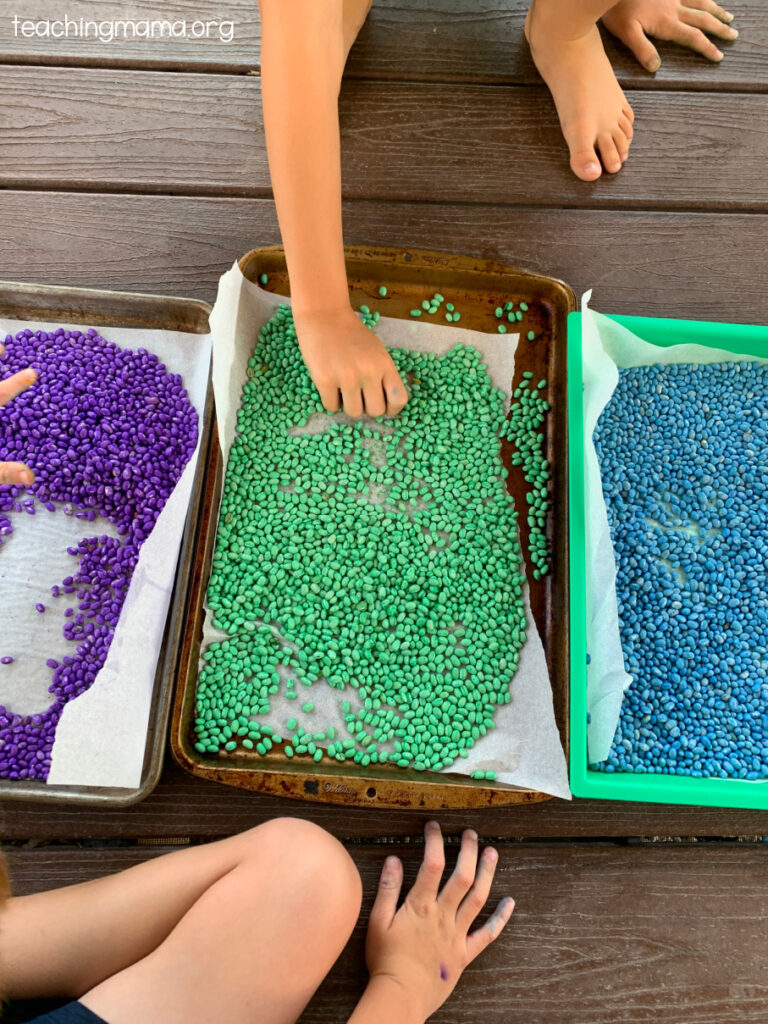 colored beans drying on trays