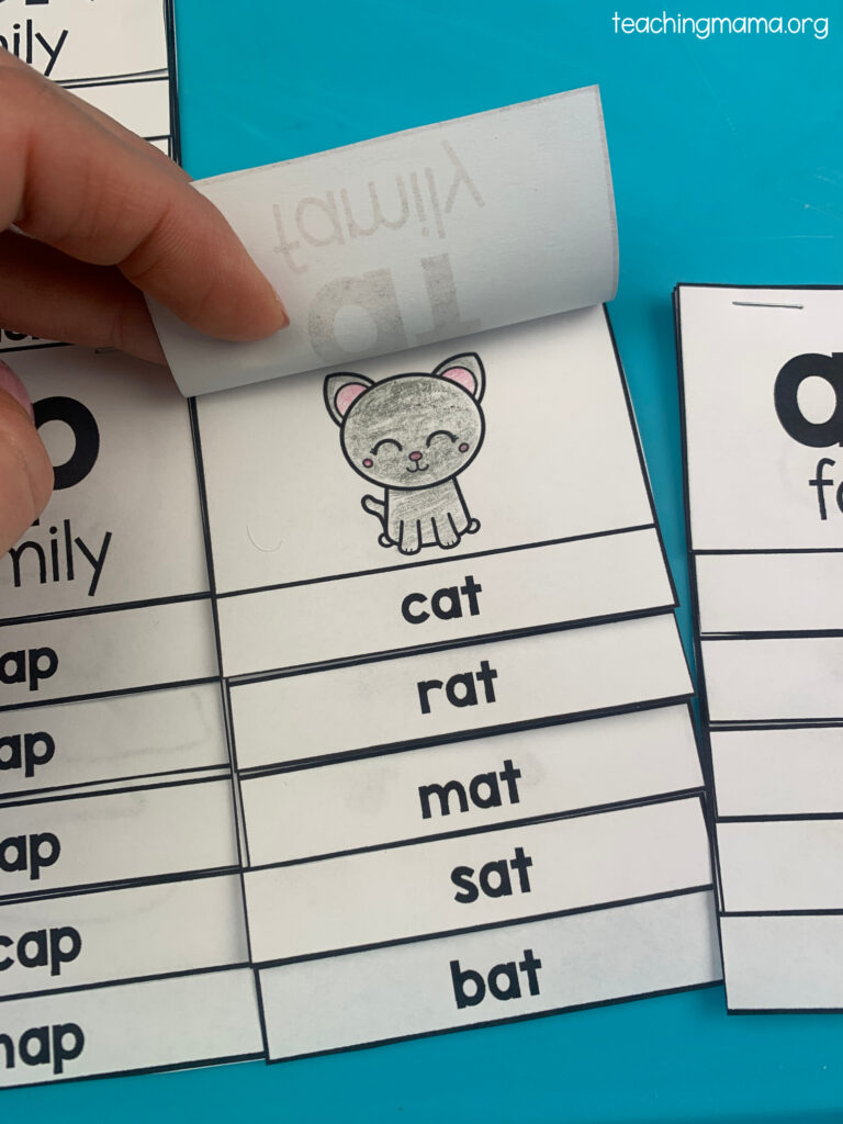 Word Family Flip Books