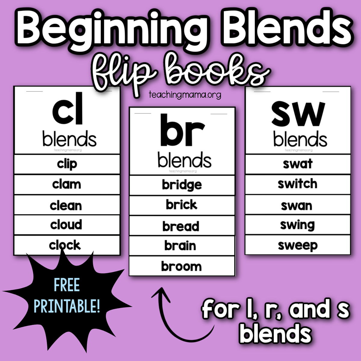 Phonics Made Fun: Level B Beginning Blends