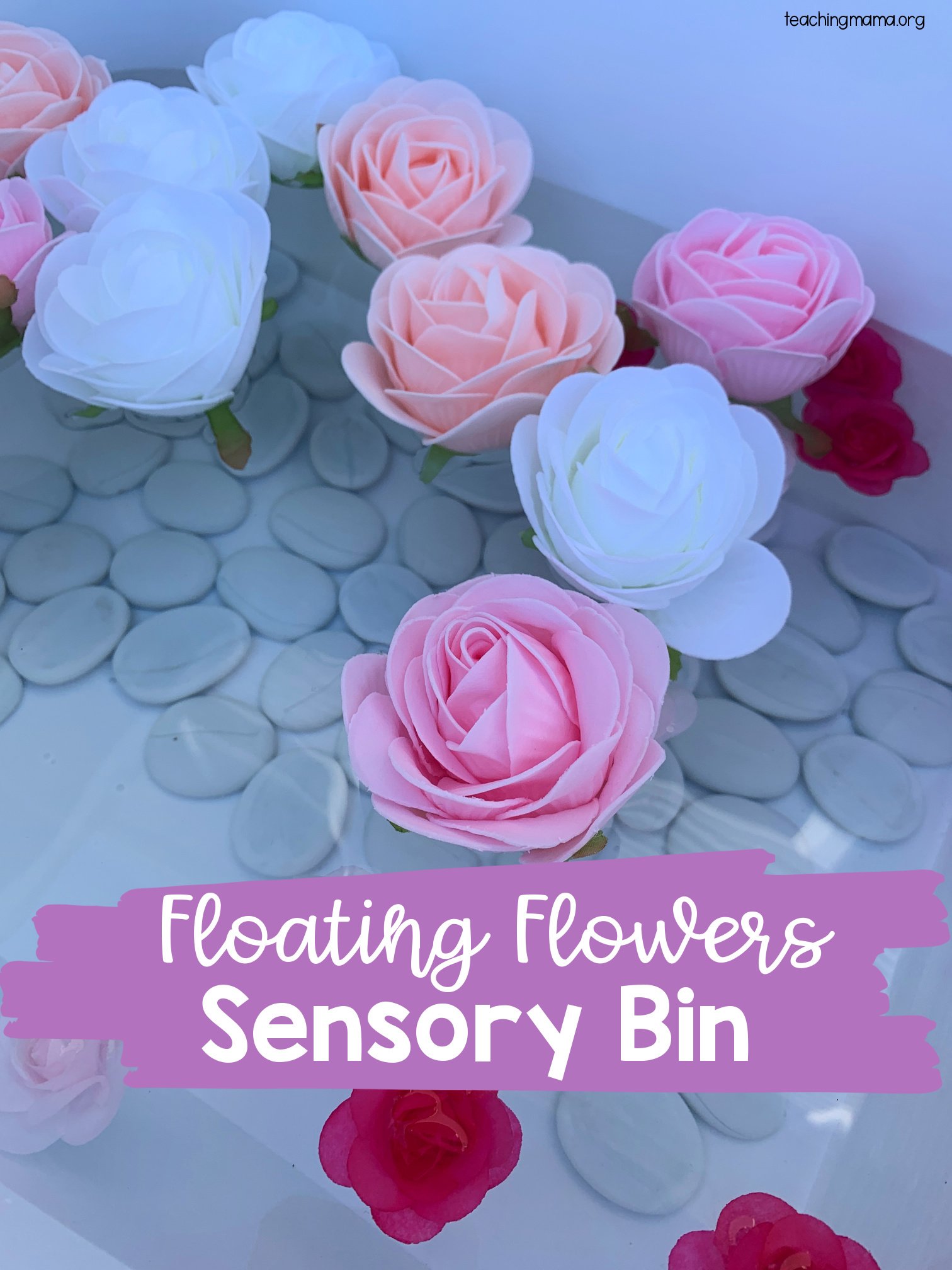 Floating Flowers Sensory Bin