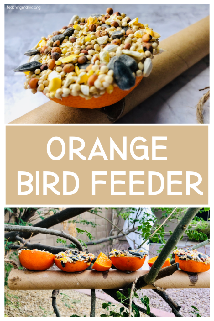 orange bird feeder