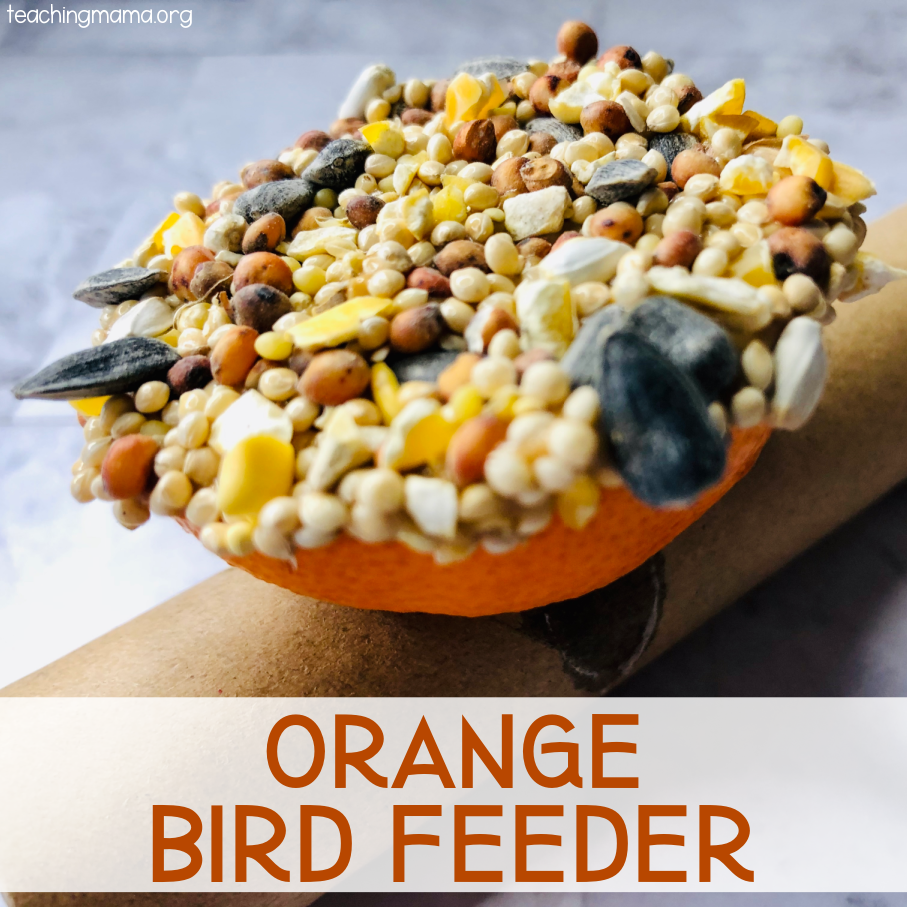 orange bird feeder