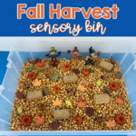 Fall Harvest Sensory Bin