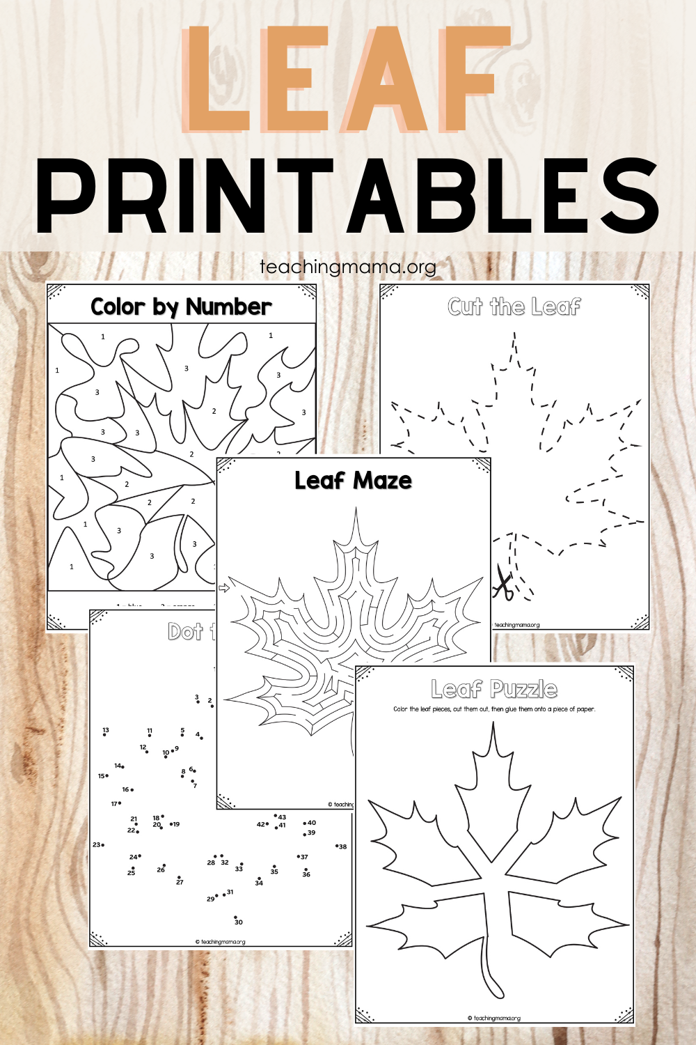 Printable Leaf Activities Teaching Mama