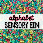 Colorful Alphabet Sensory Bin