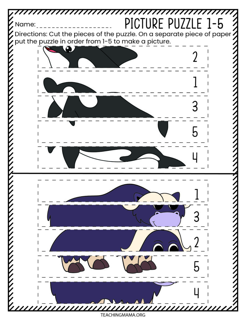 polar animal puzzles