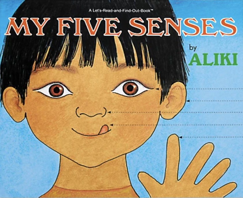 My Five Senses