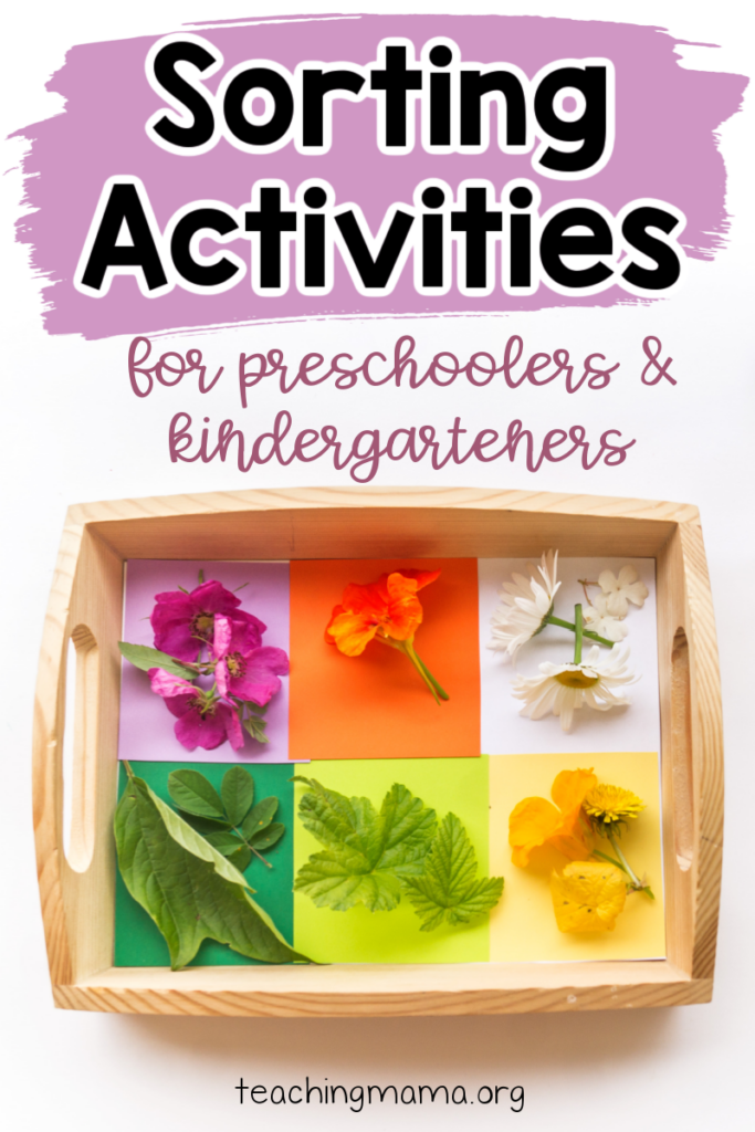 Simple Sorting Activities For Preschoolers And Kindergarteners Laptrinhx News 5931