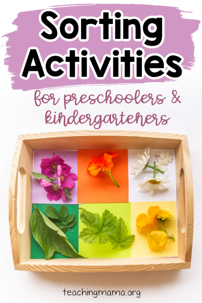 Simple Sorting Activities For Preschoolers And Kindergarteners