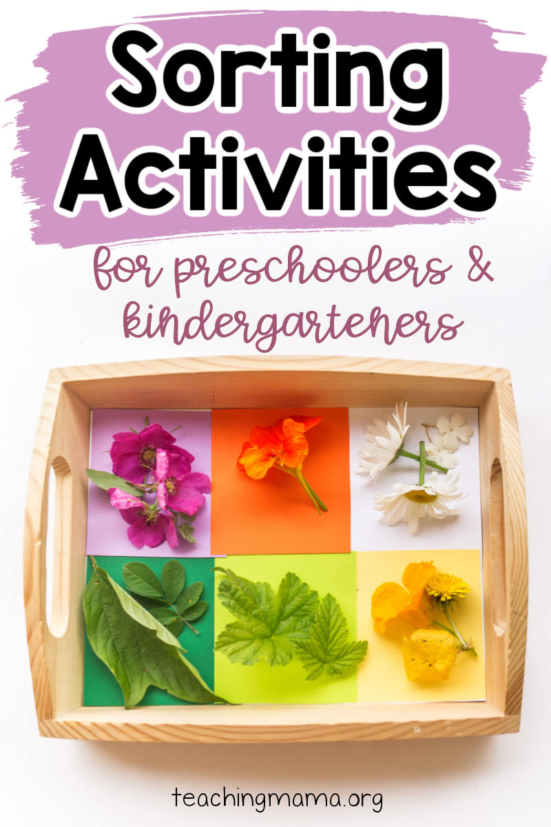 sorting activities for kids