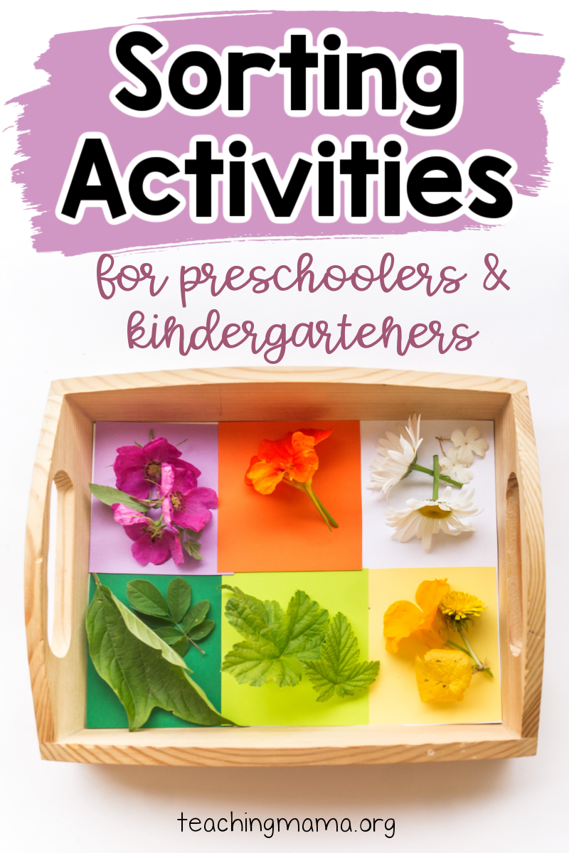 Simple Sorting Activities for Preschoolers and Kindergarteners