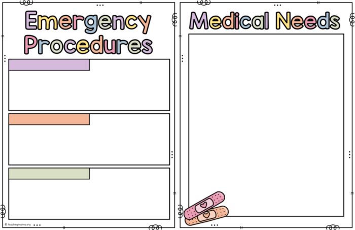 emergency and medical pages for a sub binder